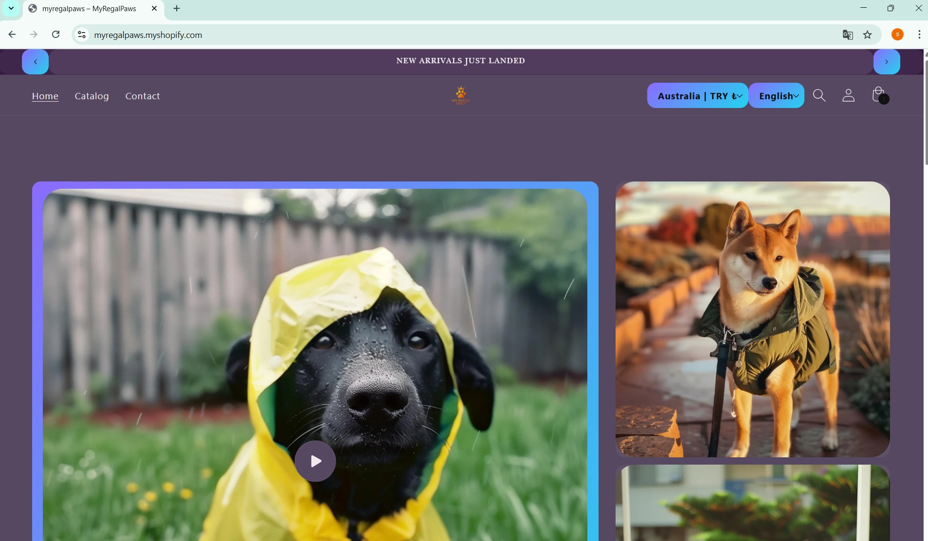My Regal Paws Projesi Önizlemesi